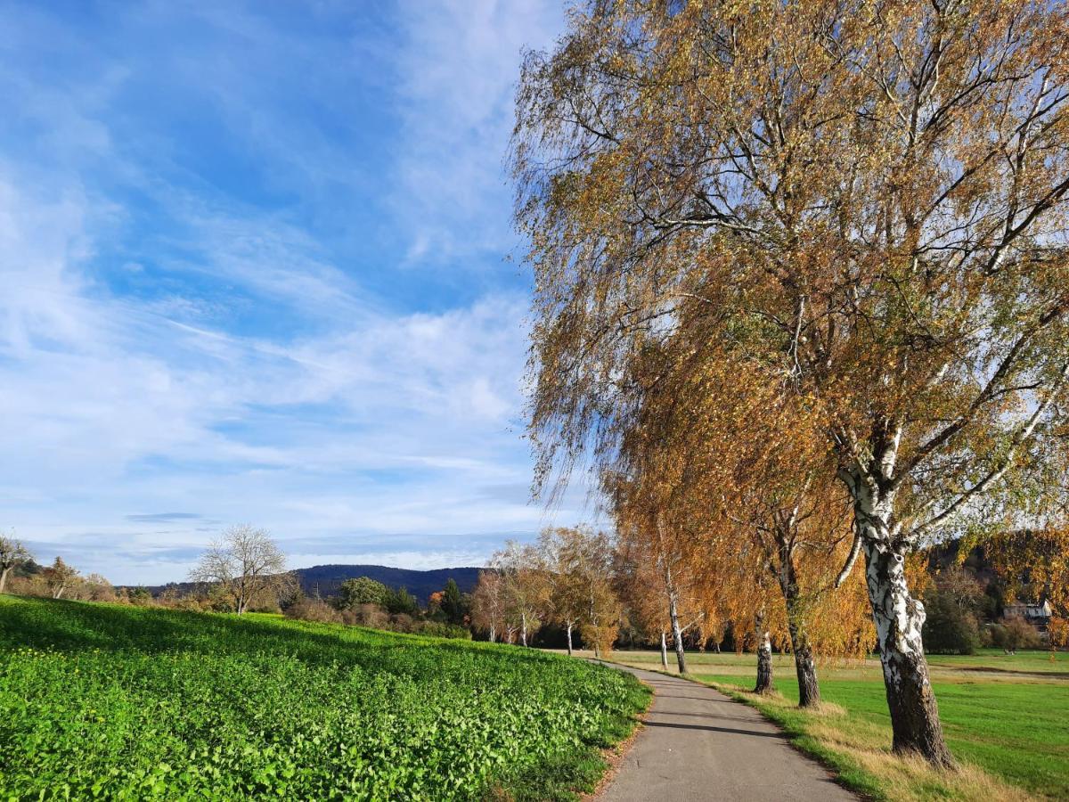 Ferienwohnung Odenwaldflair Reichelsheim ภายนอก รูปภาพ