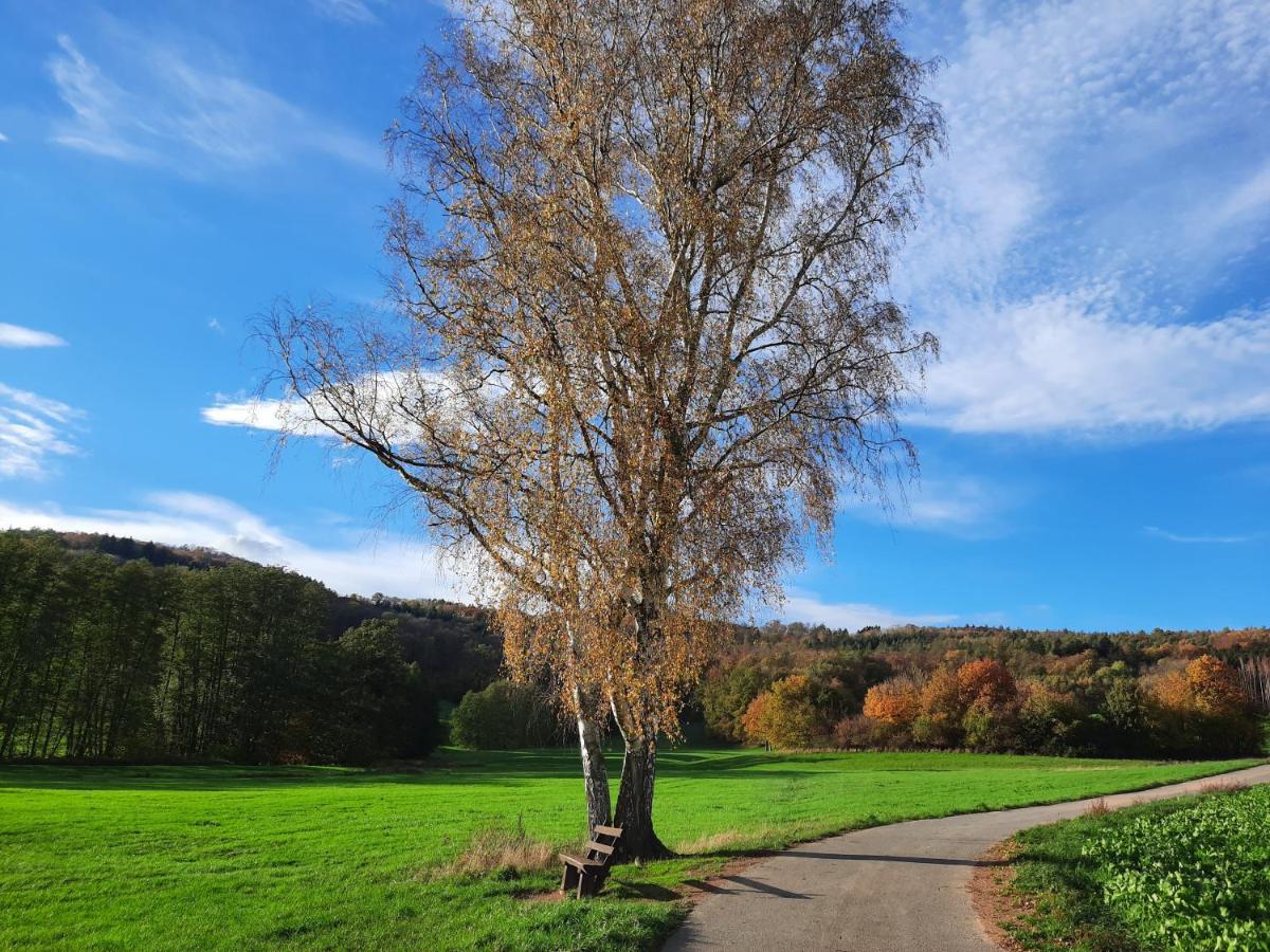 Ferienwohnung Odenwaldflair Reichelsheim ภายนอก รูปภาพ